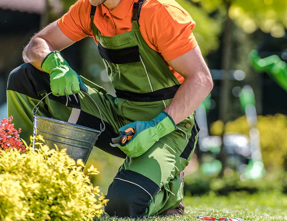 Garden maintenance